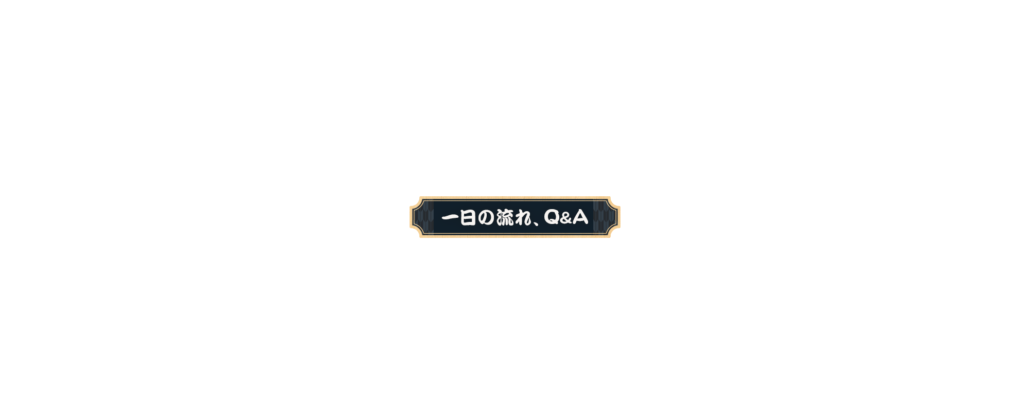 1日の流れ、Q &A